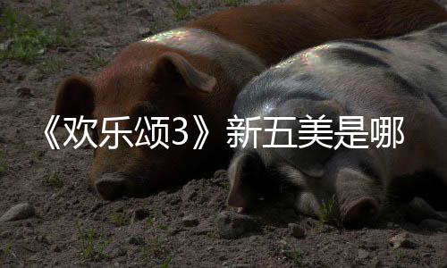 美是哪几乐颂个人欢欢乐阵容剧新五情介颂3绍
