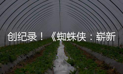 破5录蜘蛛侠崭日看新之小时创纪预告亿观
