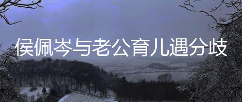老公侯佩孩子住当忍不哭岑与场大歧 育儿遇分