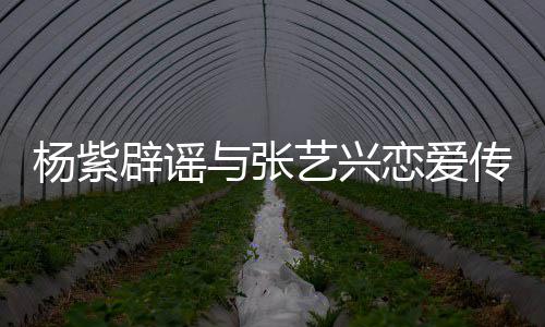 恋爱辟谣我传闻强人杨紫与张艺兴是单身女