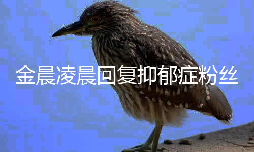 暖心凌晨鼓励回复症粉金晨抑郁丝 晒信